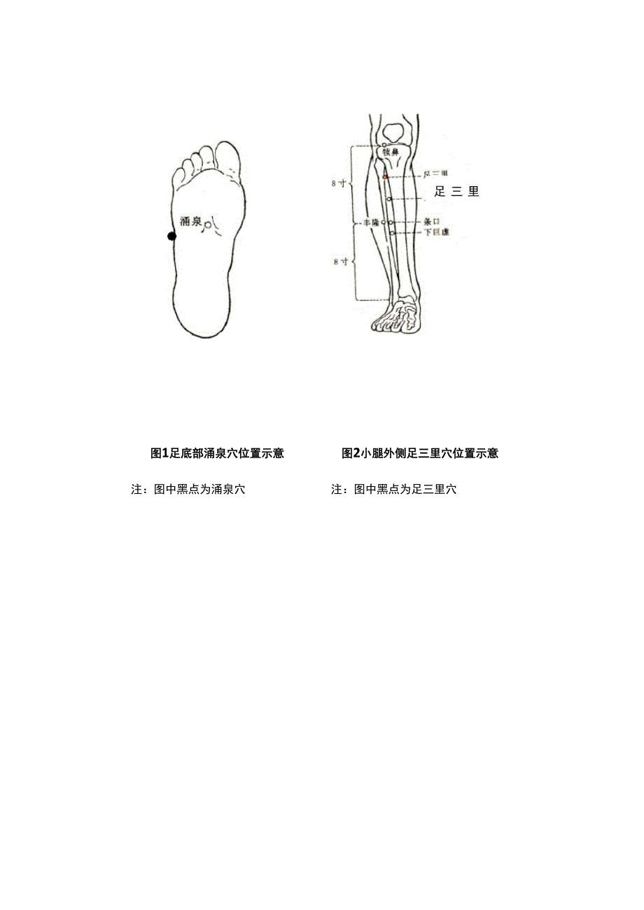 中医各种体质健康指导_第3页