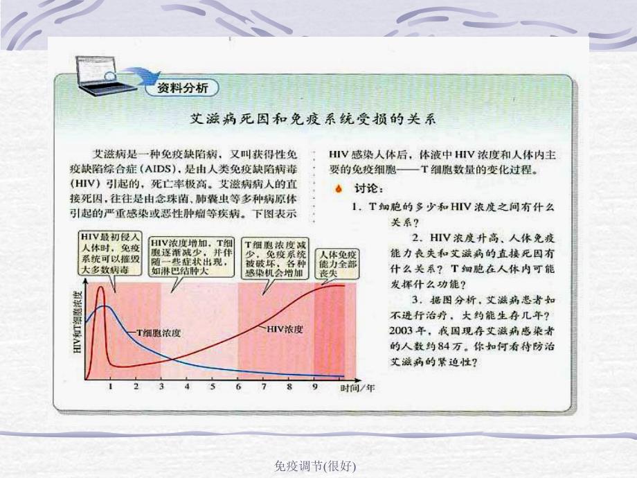 免疫调节很好课件_第4页