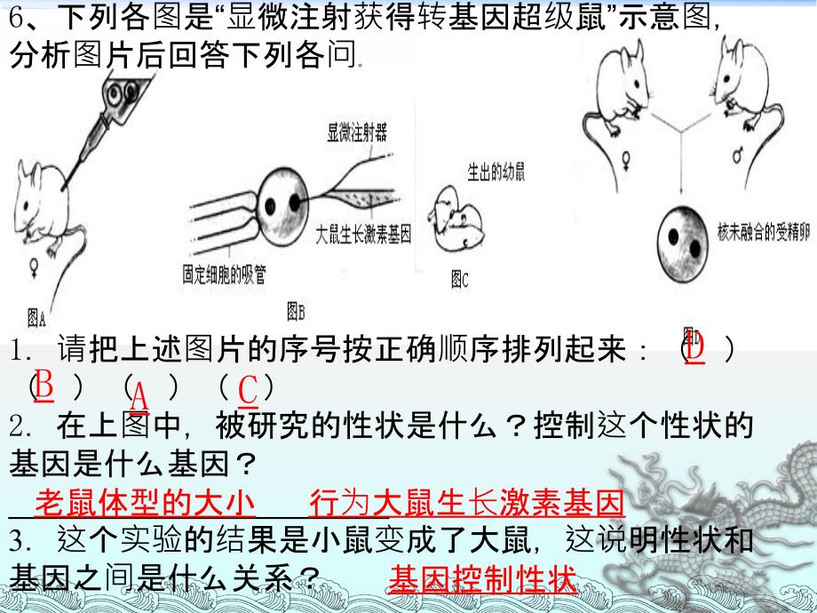 生物下册：生物的遗传和变异习题课件人教版.ppt_第4页