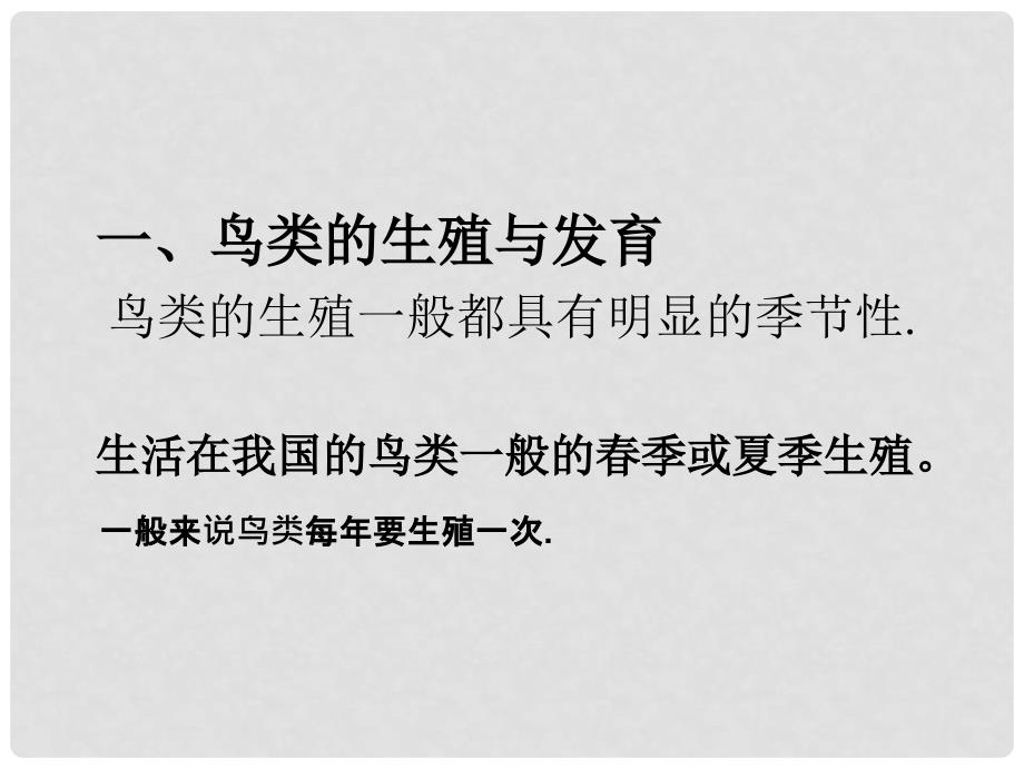 陕西省安康市汉滨区建民办事处河西初级中学八年级生物下册 鸟类的生殖与发育课件 新人教版_第3页