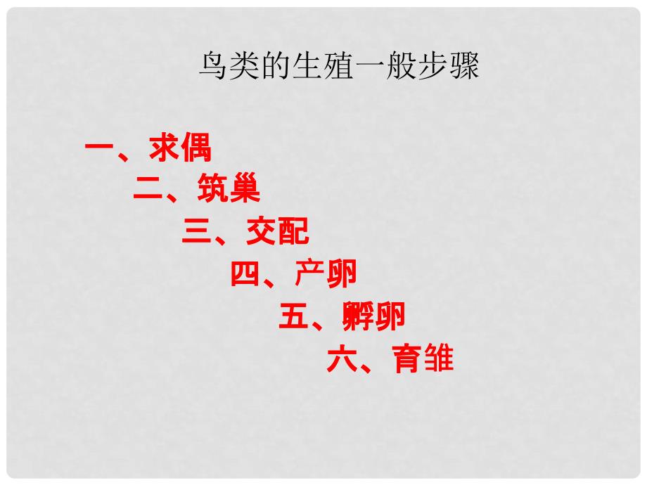 陕西省安康市汉滨区建民办事处河西初级中学八年级生物下册 鸟类的生殖与发育课件 新人教版_第4页