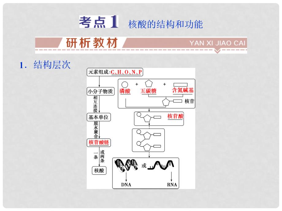 高考生物大一轮复习 第一单元 细胞的分子组成 第4讲 遗传信息的携带者——核酸细胞中的糖类和脂质课件_第3页