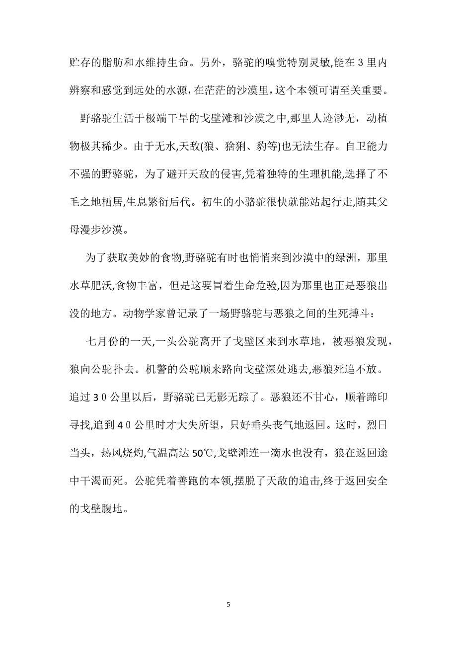 小学三年级语文教案我应该感到自豪才对教学设计附阅读材料_第5页