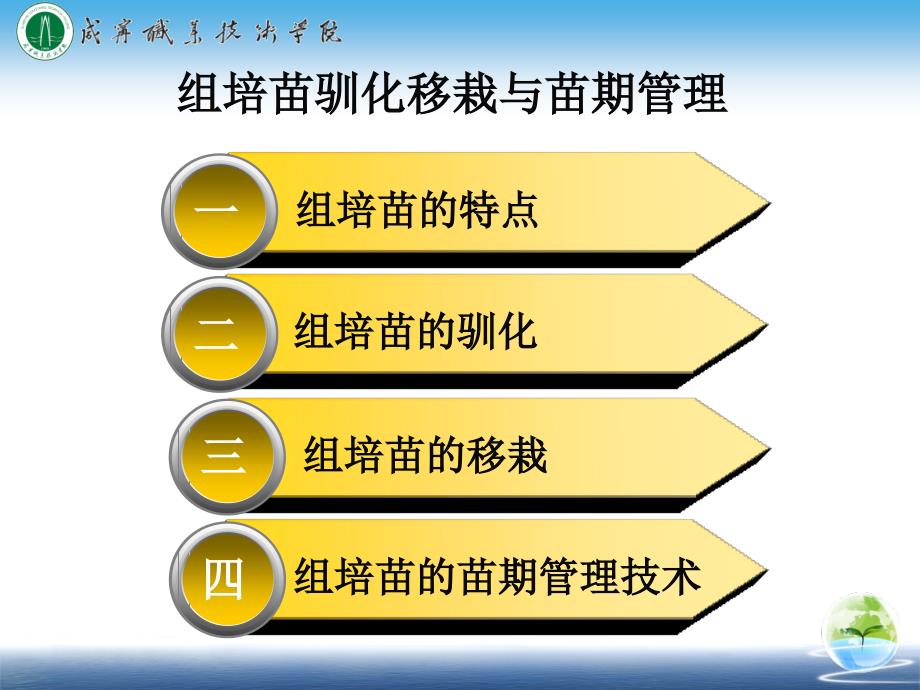 试管苗的移栽咸宁职业技术学院课件_第2页