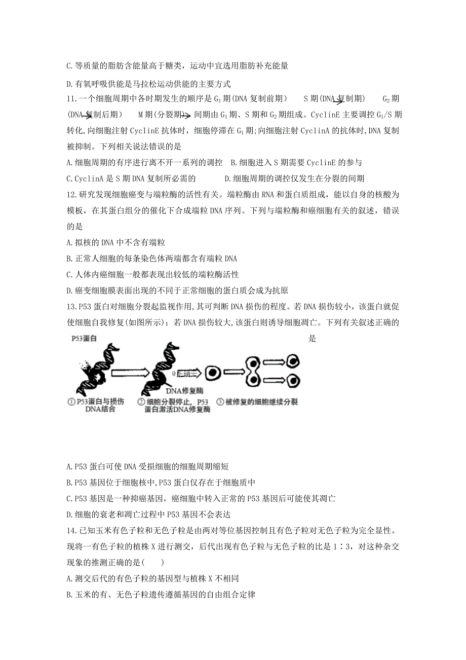 辽宁省六校协作体2020届高三生物上学期期中试题_第3页