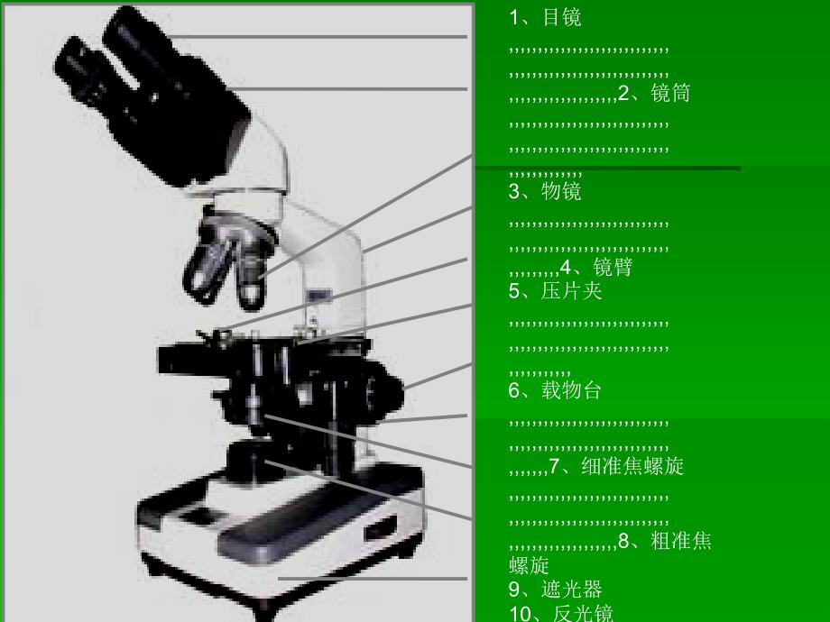 资料试验1光学显微镜的结构应用及颐养_第4页