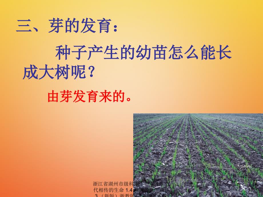 最新浙江省湖州市级科学下册第1章代代相传的生命1.4植物的一生课件3新版浙教版新版浙教级下册自然科学课件_第2页