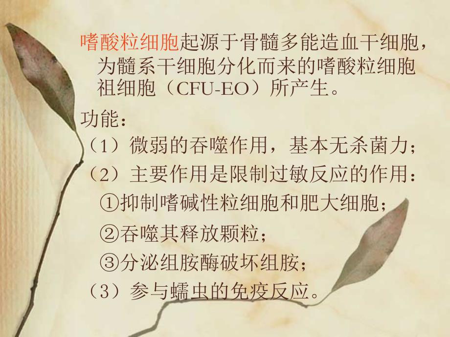 《嗜酸粒细胞计数》PPT课件_第2页