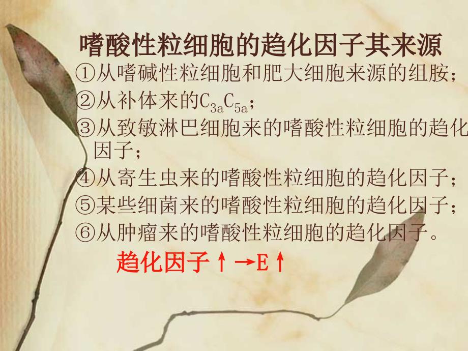 《嗜酸粒细胞计数》PPT课件_第3页