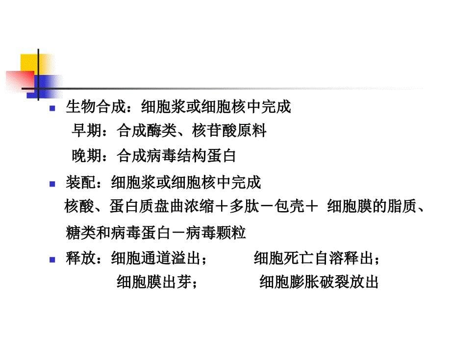 制剂的基本生产技术病毒增殖技术_第5页