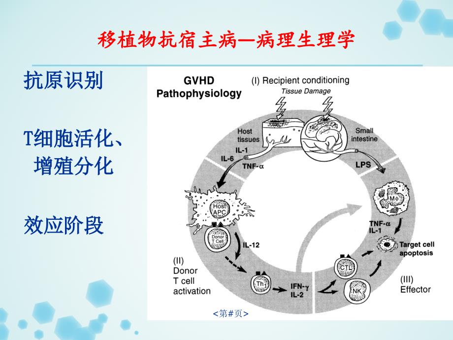 免疫抑制剂 汇总[参考仅供]_第4页