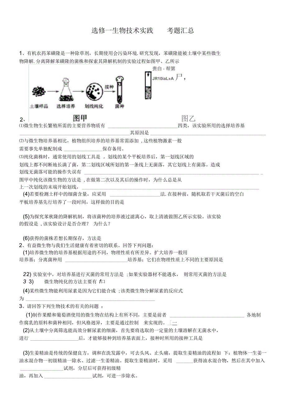 生物选修一试题汇总_第1页