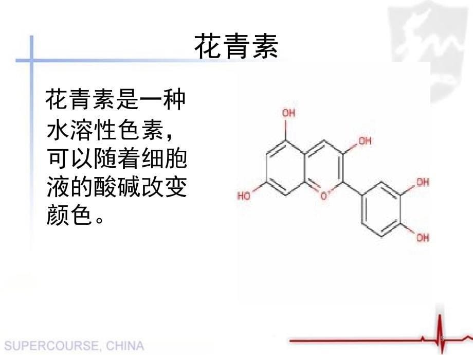 植物酸碱指示剂课堂PPT_第5页