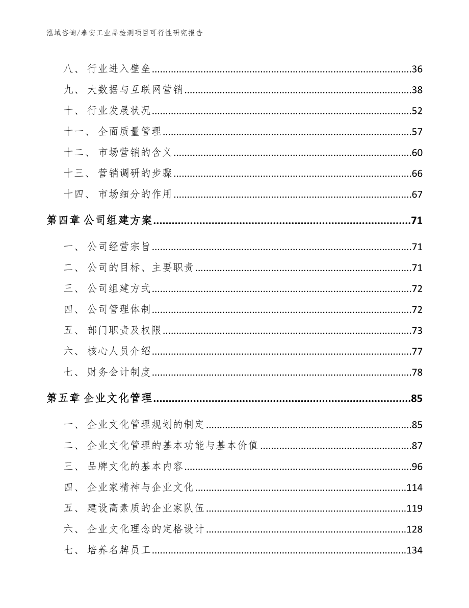 泰安工业品检测项目可行性研究报告（模板）_第3页