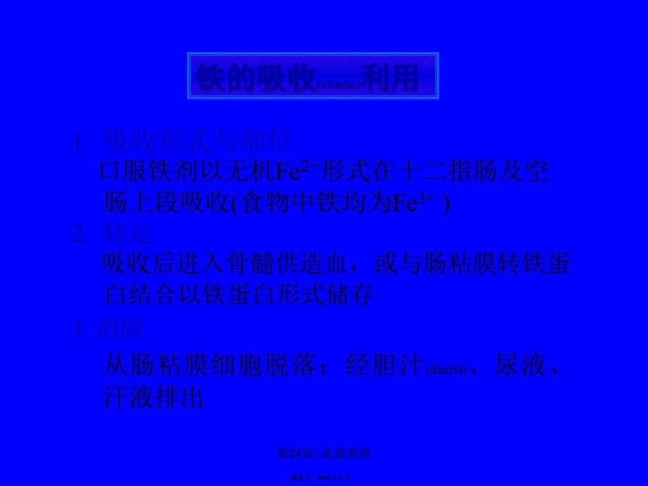 第24章--血液系统课件_第5页