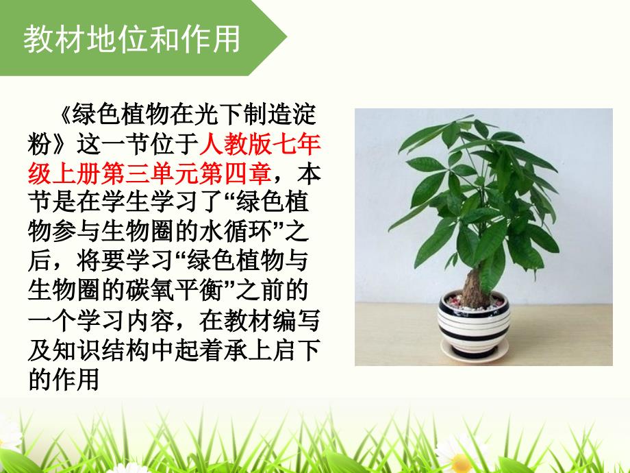 绿色植物在光下制造淀粉ppt课件_第4页