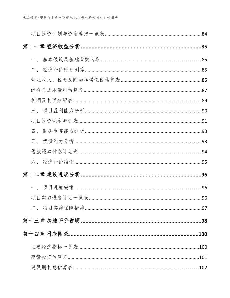 安庆关于成立锂电三元正极材料公司可行性报告模板范文_第5页