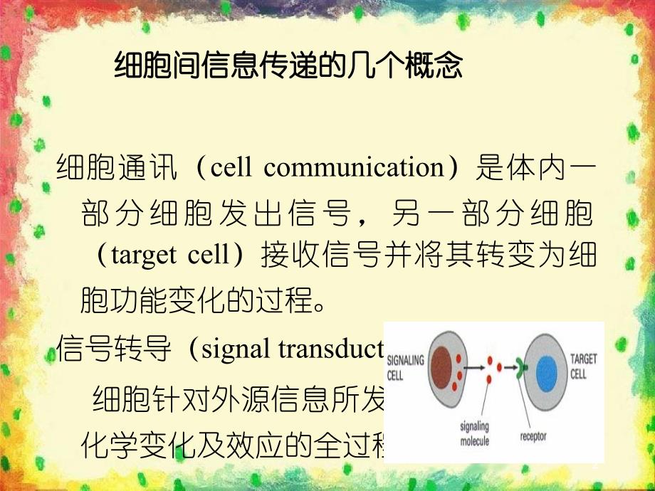 第19章细胞信号转导分子机制_第2页