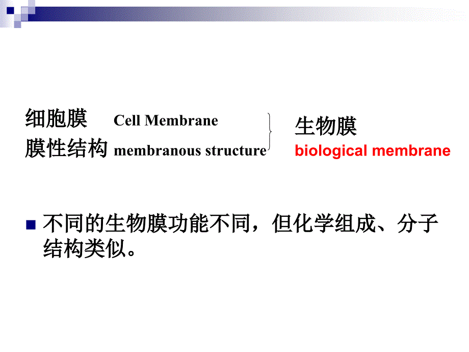 医学细胞与遗传学教学课件：2细胞基本结构_第3页