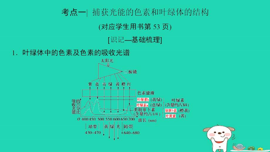 全国版高考生物一轮复习第3单元细胞的能量供应和利用第3讲光合作用(Ⅰ)课件名师制作优质学案新_第4页