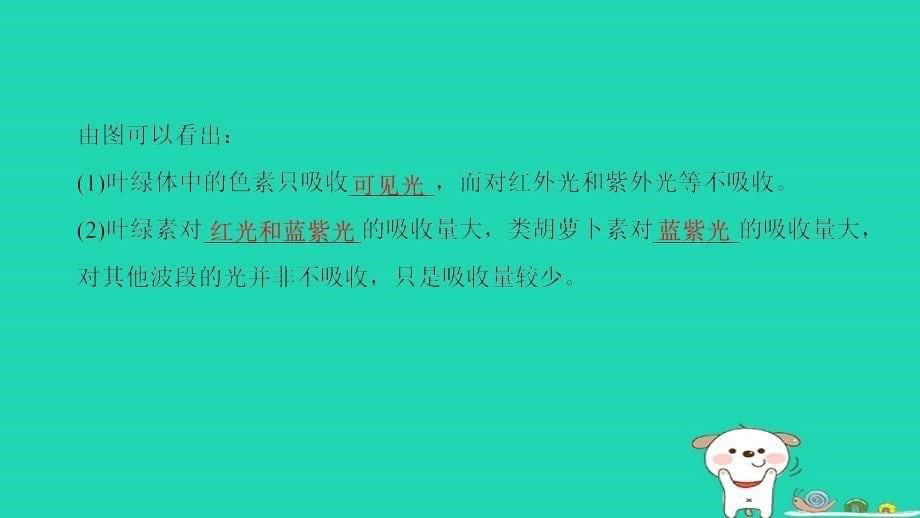 全国版高考生物一轮复习第3单元细胞的能量供应和利用第3讲光合作用(Ⅰ)课件名师制作优质学案新_第5页