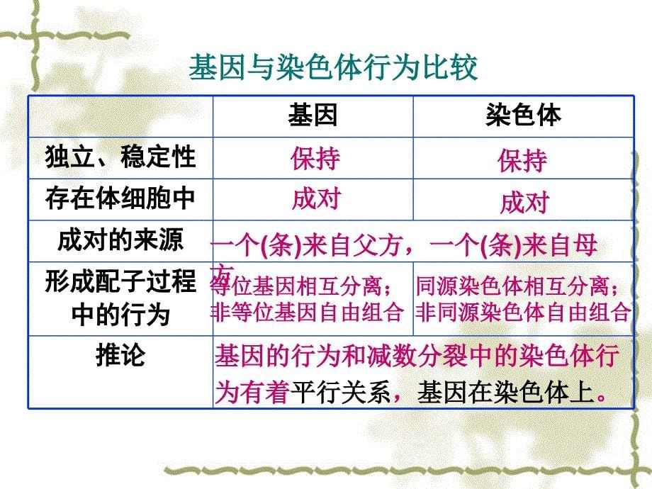 高三生物复习资料第15讲染色体与遗传性别决定和伴性遗传_第5页