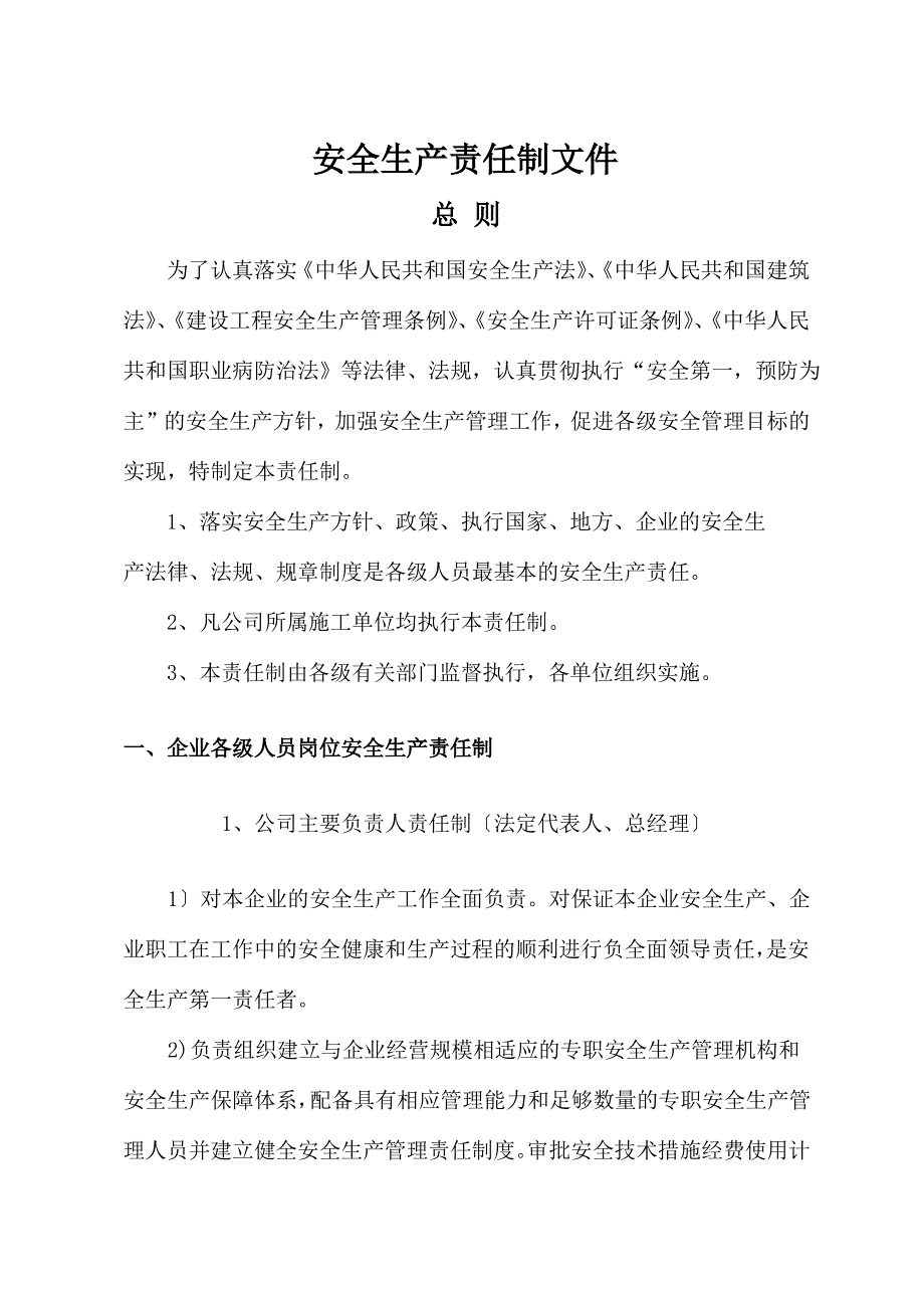 安全生产责任制文件(新)_第1页