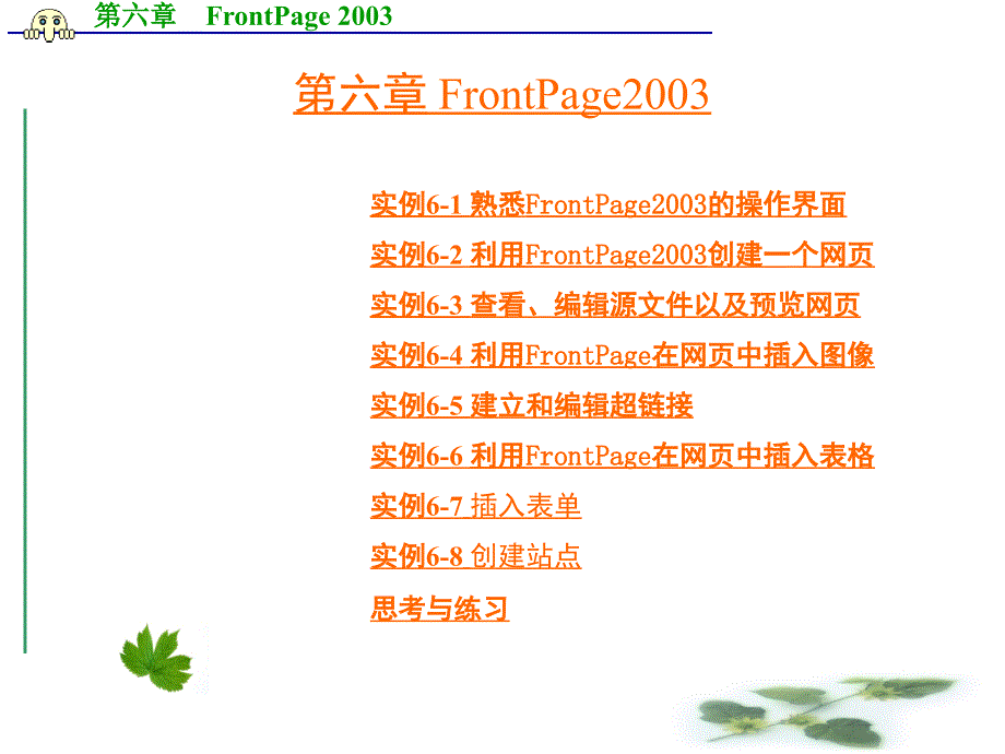 FrontPage2003教学PPT课件_第2页