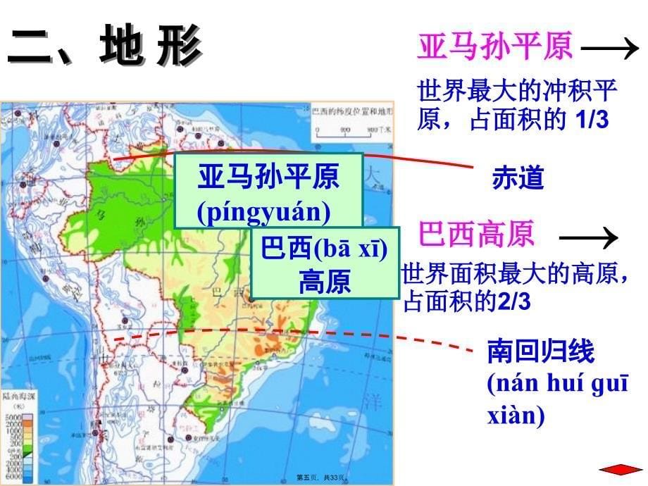 巴西复习课件复习课程_第5页