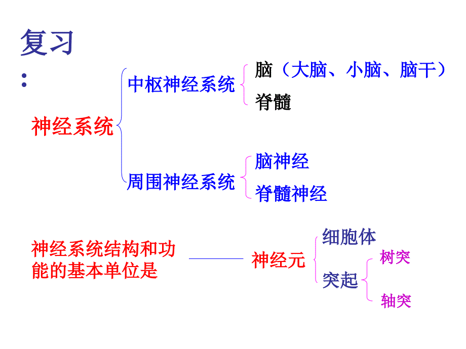 济南版七下3.5.3神经调节的基本方式共21张PPT_第2页