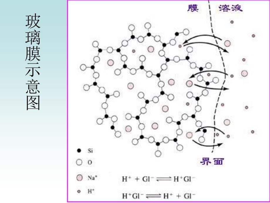 《电位和永停》PPT课件_第5页