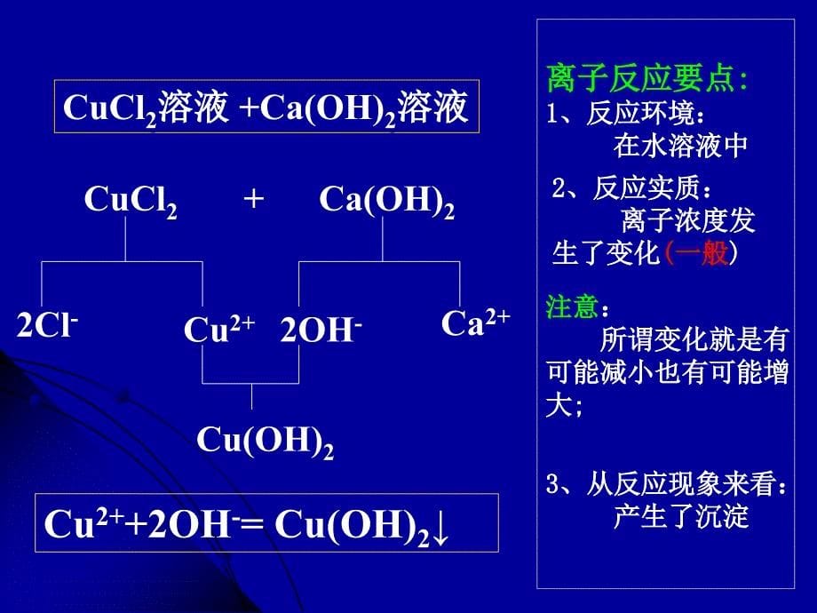 1离子反应及其发生的条件_第5页