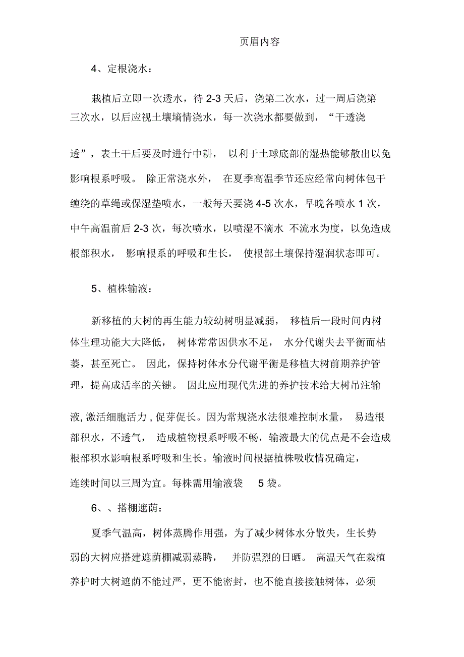 大王棕及大树养护方案1_第4页