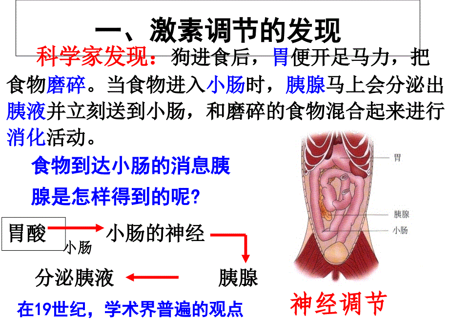 2.2通过激素的调节第1课时_第4页