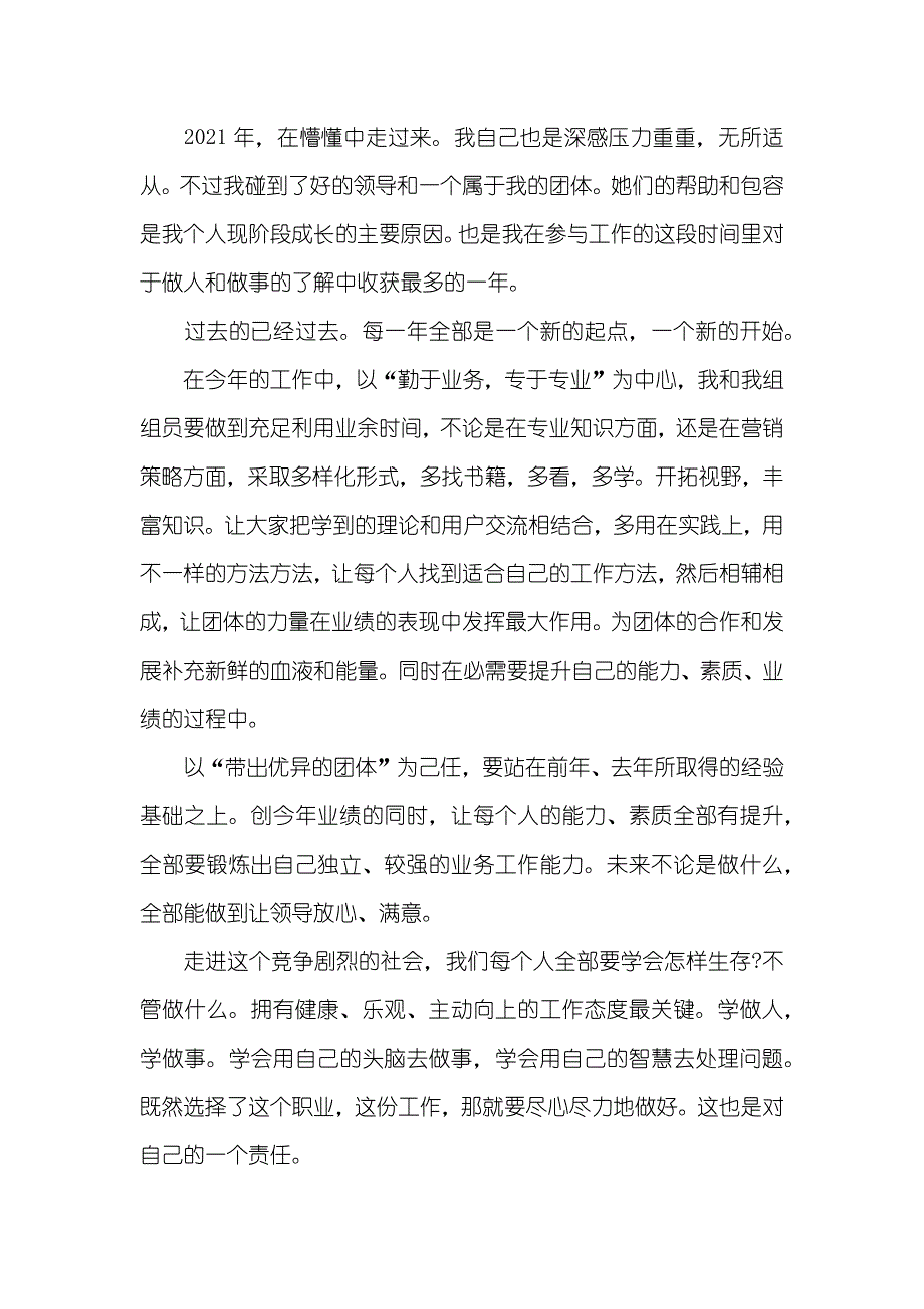 市场营销总监工作总结_第2页