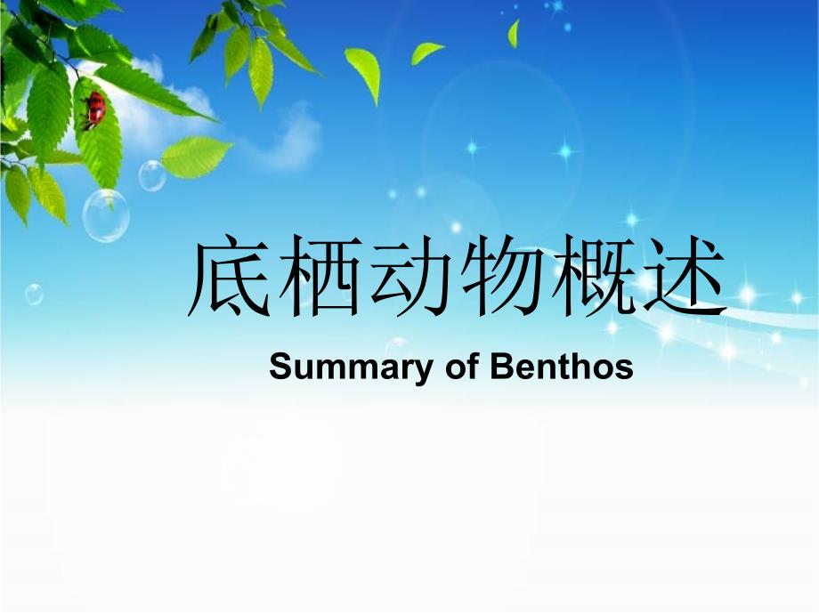 底栖动物概述_第1页