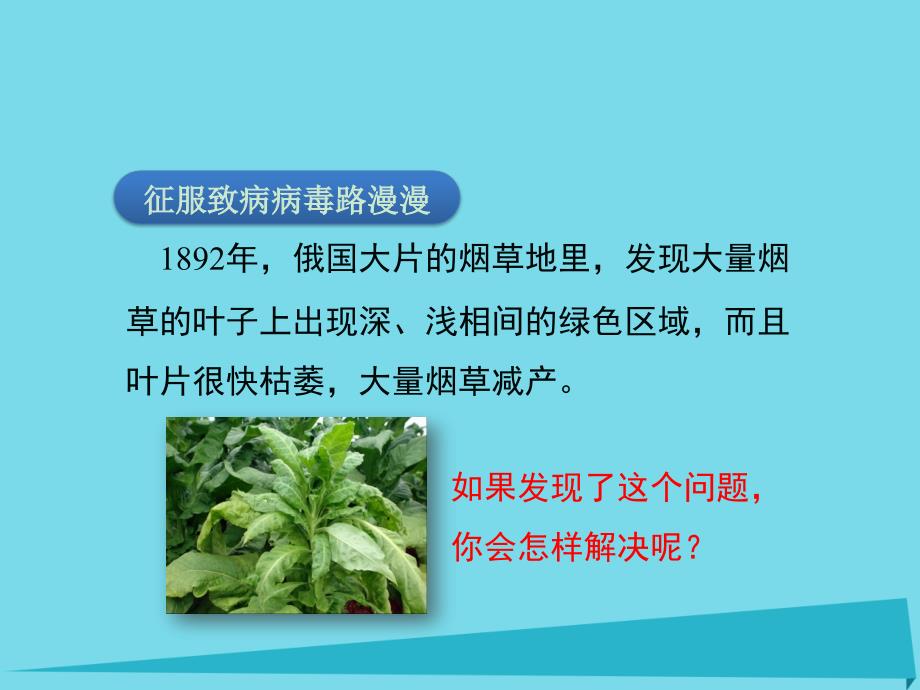 高中生物第一章生物科学和我们1.2生物科学的学习过程课件苏教版必修_第4页