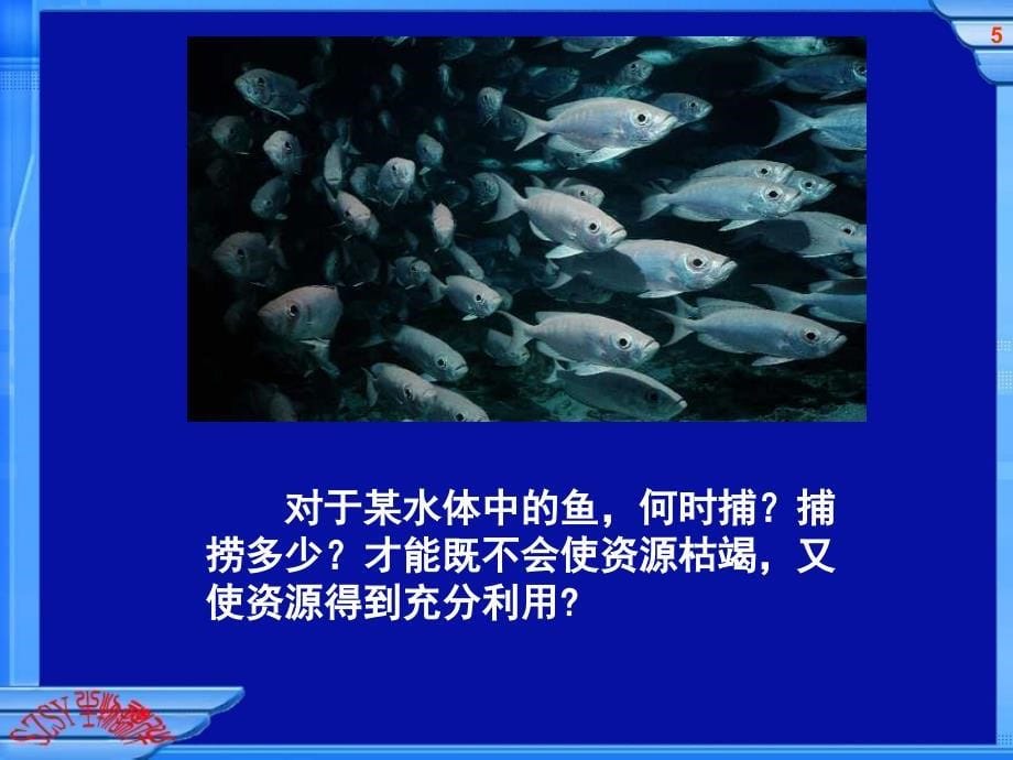 人教版教学课件必修3第4章第1节种群的特征课件_第5页