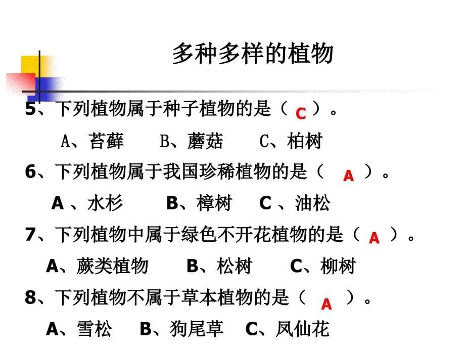 教科版科学六上多种多样的植物课件_第5页