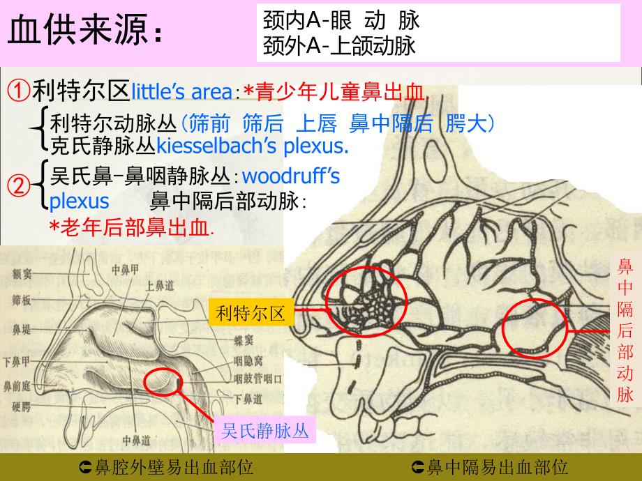 鼻塞与鼻出血_第5页