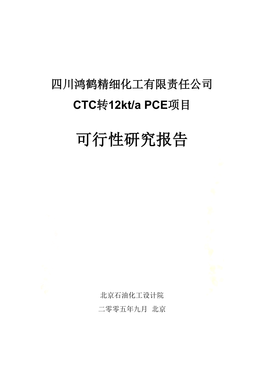 四川某公司CTC转PCE项目可行性研究报告(DOC 129页)_第2页