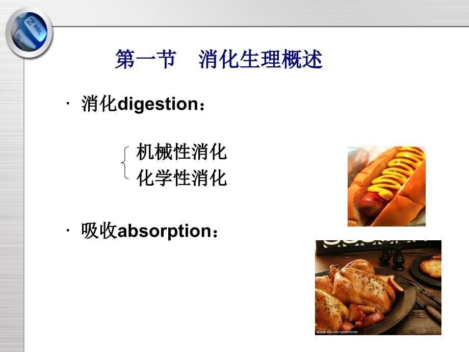 消化系统课件：第六章 消化与吸收_第5页