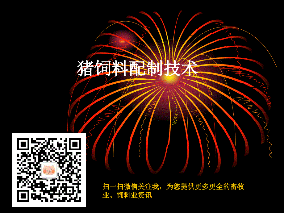 专家内培猪饲料配制技术培训课件_第2页