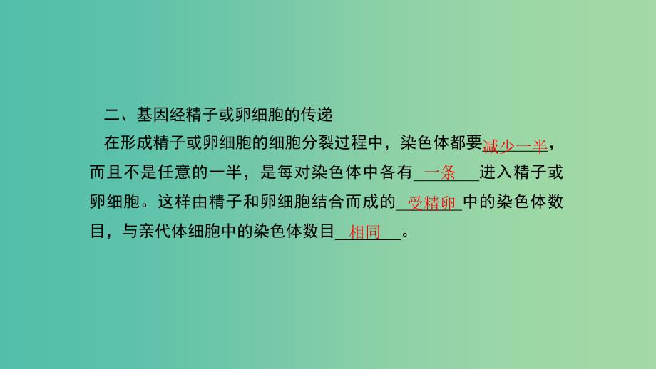 八年级生物下册第七单元第二章第二节基因在亲子代间的传递课件新版新人教版.ppt_第4页