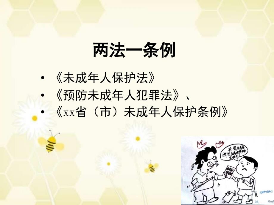 两法一条例班会优秀课件_第2页