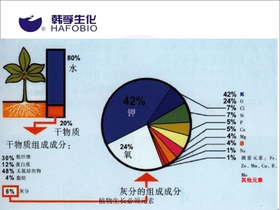 植物生长必须元素课件_第5页