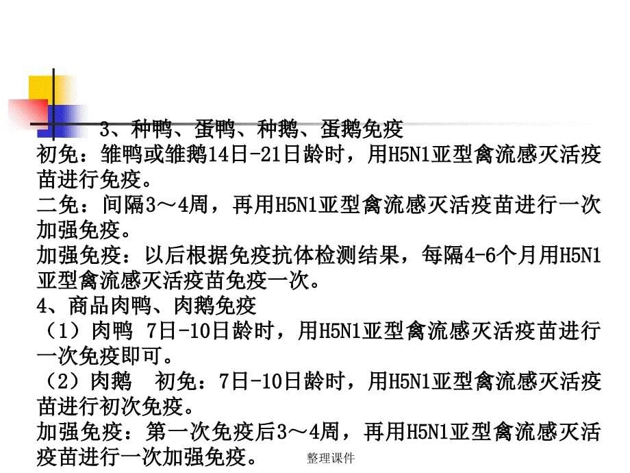 常见动物疫病免疫程序ppt课件_第5页