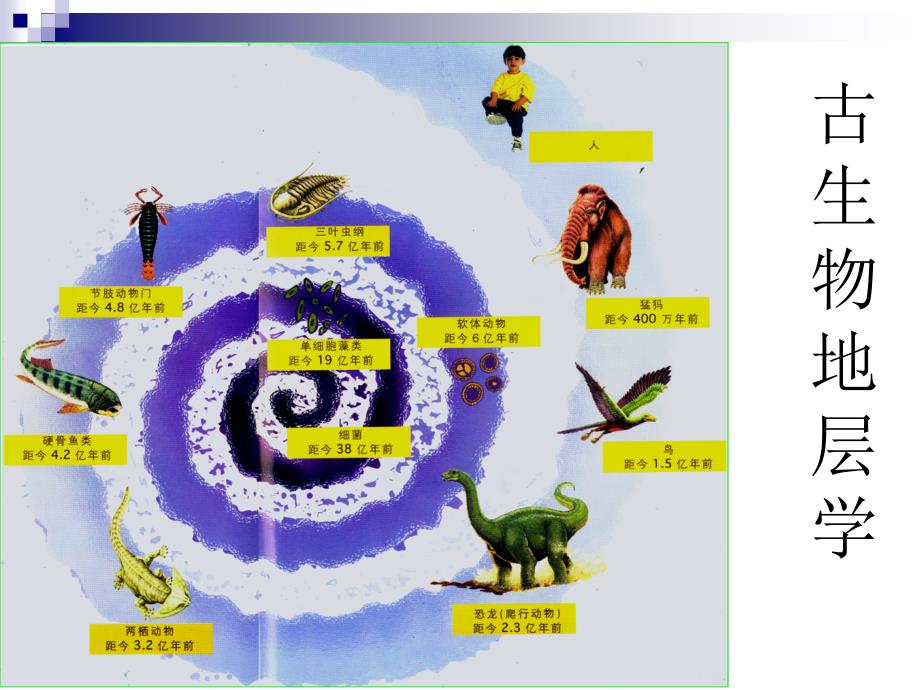 古生物地层学：第一章 生物界及其进化_第1页