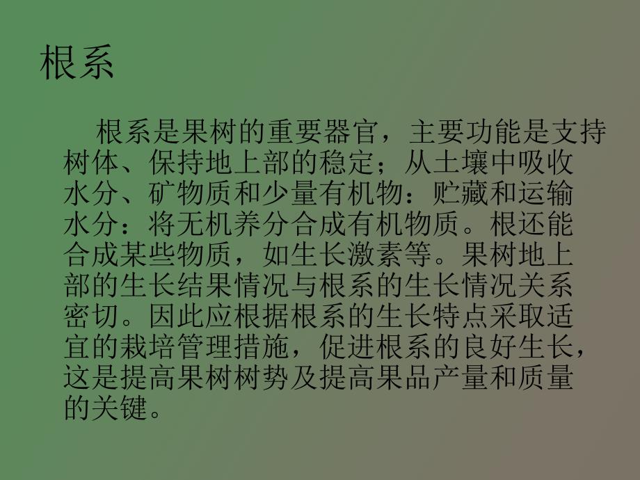 果树根系生长与施肥的关系_第2页