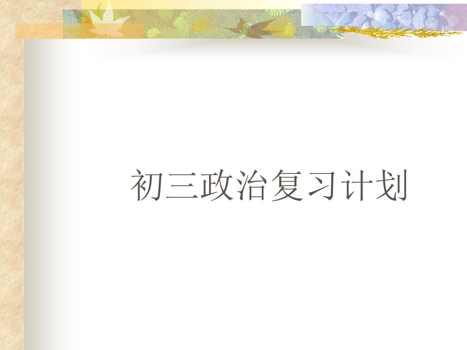 初三政治复习计划_第1页